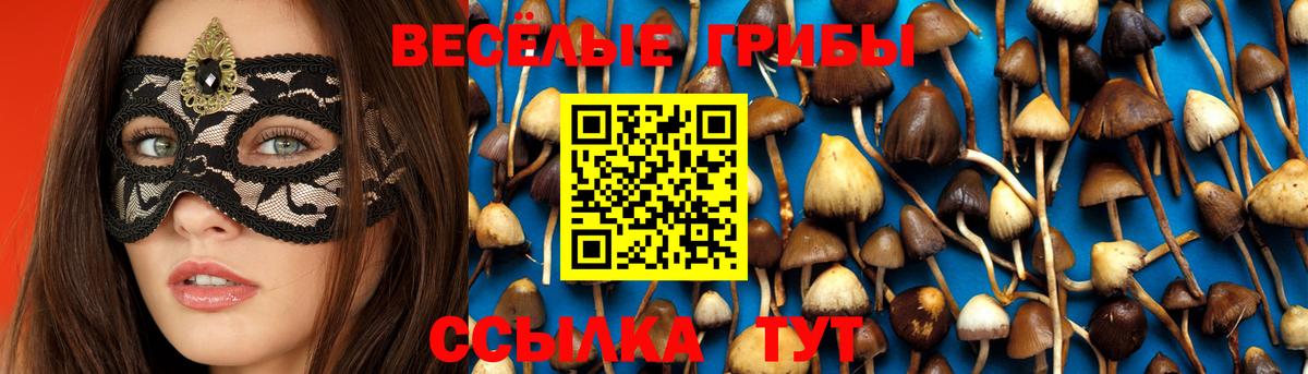 Кубинка  Псилоцибиновые грибы мухоморы  Вход с VPN  Галлюциногенные грибы Cubensis 