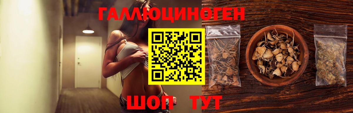 Галлюциногенные грибы Cubensis Кубинка